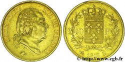 40 francs or Louis XVIII 1816 Rouen F.542/2 SS