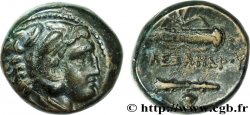MACEDONIA - REGNO DI MACEDONIA - ALESSANDRO III IL GRANDE Unité de bronze, (MB, Æ 17)