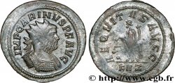 CARIN Aurelianus