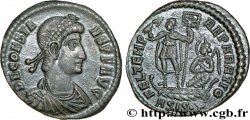 CONSTANS Maiorina