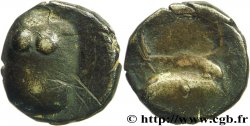 TARUSATES (région de Tartas) Drachme dite “à la paire de fesses”