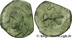 GALLIA - SANTONES / CENTROVESTE - Incerti Bronze ANNICCOIOS (quadrans) au sanglier