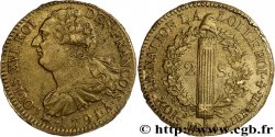 LOUIS XVI (MONARQUE CONSTITUTIONNEL) 2 sols dit au faisceau , type FRANÇOIS 1791 Paris