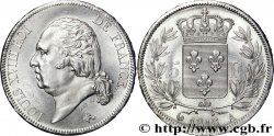 5 francs Louis XVIII, tête nue 1816  Paris F.309/1 SUP