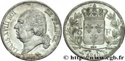 5 francs Louis XVIII, tête nue 1819 Rouen F.309/40