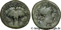 BRUTTIUM - RHEGION Obole ou demi-unité de bronze, (MB, Æ 20)