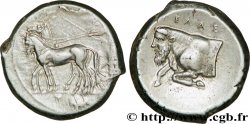 SICILIA - GELA Tétradrachme