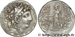 SIRIA - REGNO DI SIRIA - ANTIOCO VII SIDETES Tétradrachme