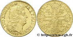 LOUIS XIV THE SUN KING Louis d’or aux huit L, portrait à la tête âgée et laurée 1689 Paris