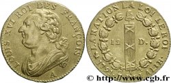 LOUIS XVI (MONARQUE CONSTITUTIONNEL) 12 deniers dit au faisceau , type FRANCOIS 1791 Paris