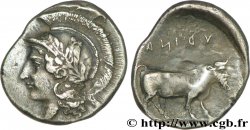 CAMPANIE - HYRIA Nomos, statère ou didrachme TTB