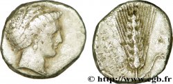 LUCANIA - METAPONTO Nomos, statère ou didrachme