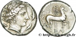 SICILE - SICULO-PUNIQUES - CÉPHALOÉDIUM Tétradrachme