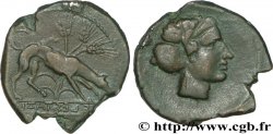 SICILIA - SEGESTA Didrachme