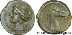 ZEUGITANE - CARTHAGE Shekel ou unité de bronze, (PB, Æ 20)