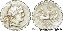 NAEVIA Denier serratus