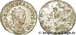 CARIN Aurelianus