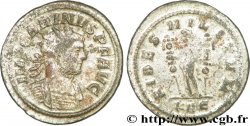CARIN Aurelianus