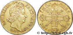 LOUIS XIV LE GRAND OU LE ROI SOLEIL Double louis d or aux huit L et aux insignes 1702 Paris