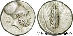LUCANIA - METAPONTUM Nomos ou Didrachme