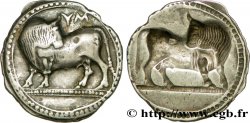 LUCANIA - SYBARIS Nomos, statère ou didrachme