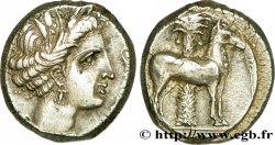 SICILE - SICULO-PUNIQUES - CÉPHALOÉDIUM Tétradrachme
