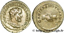 PUPIEN Antoninien