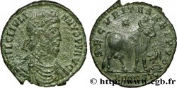 JULIAN II THE PHILOSOPHER Double maiorina, (GB, Æ 1)