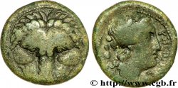 BRUTTIUM - REGGIO DI CALABRIA Obole ou demi-unité de bronze, (MB, Æ 20)