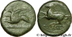 SICILIA - ALASEA (KAINON) Hemilitron, (MB, Æ23)