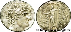 SIRIA - REINO DE SIRIA - ANTIOCOS VIII GRYPOS Tétradrachme