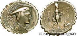 MAMILIA Denier serratus TTB