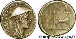 PLANCIA Denier