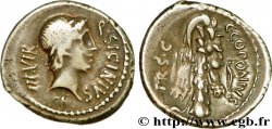 SICINIA Denier