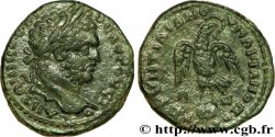 CARACALLA Tetrassaria SUP