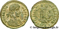 CONSTANS Maiorina