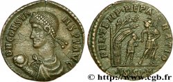 CONSTANS Maiorina