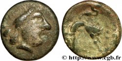 HOARD OF BRIDIERS (CREUSE) Drachme au lion et à l’échassier