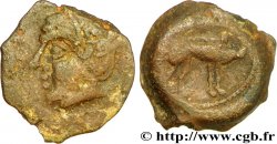 BITURIGES CUBI / CENTROVESTE - INCERTI Bronze au sanglier et à la fibule