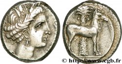 SICILE - SICULO-PUNIQUES - CÉPHALOÉDIUM Tétradrachme