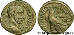 MAXIMINUS I THRAX Tetrassaria