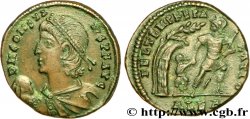 CONSTANS Maiorina