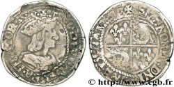 FRANÇOIS IER LE RESTAURATEUR DES LETTRES Teston du Dauphiné, 2e type n.d. Romans