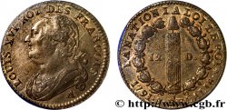 LOUIS XVI (MONARQUE CONSTITUTIONNEL) 12 deniers dit au faisceau , type FRANCOIS 1791 Paris, Monnaie de Matignon