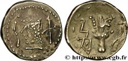ARABIA FELIX - HIMYARITES Denier ou drachme