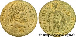 PISIDIE - TERMESSUS Neuf assaria, (GB, Æ 30)