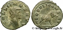 GALLIEN Antoninien