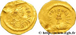PHOCAS Tremissis TTB