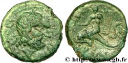 CALABRE - BRUNDISIUM Semis, (PB, Æ 20)