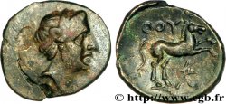 LUCANIA - THURIUM Demi-unité, (PB, Æ 15)